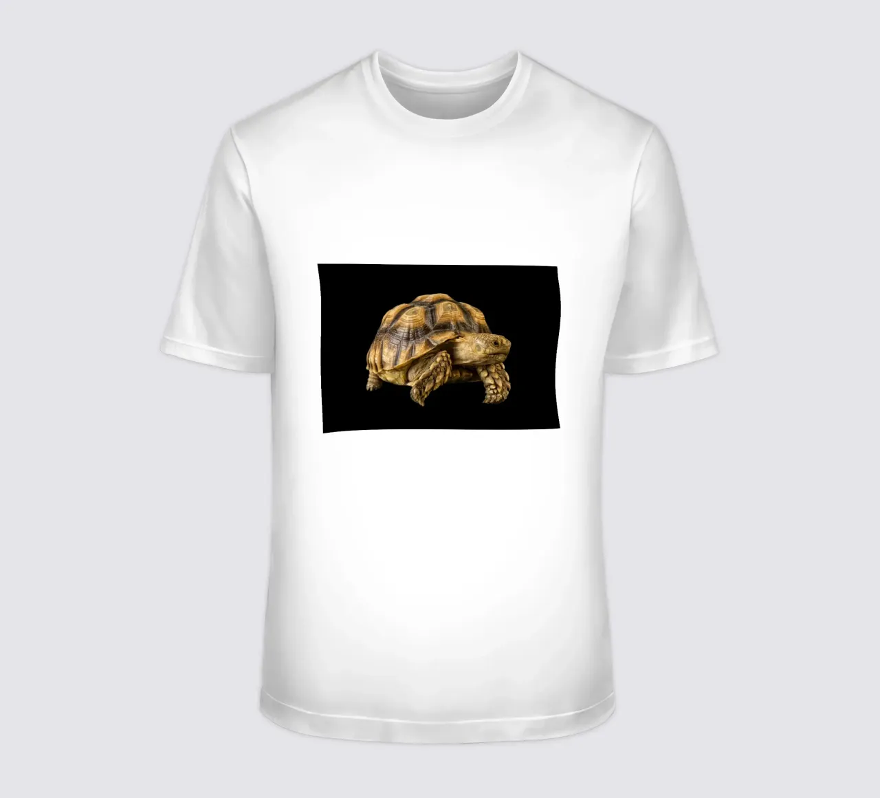 Tartaruga di terra t-shirt da Curious Collections by Marielle Leenders
