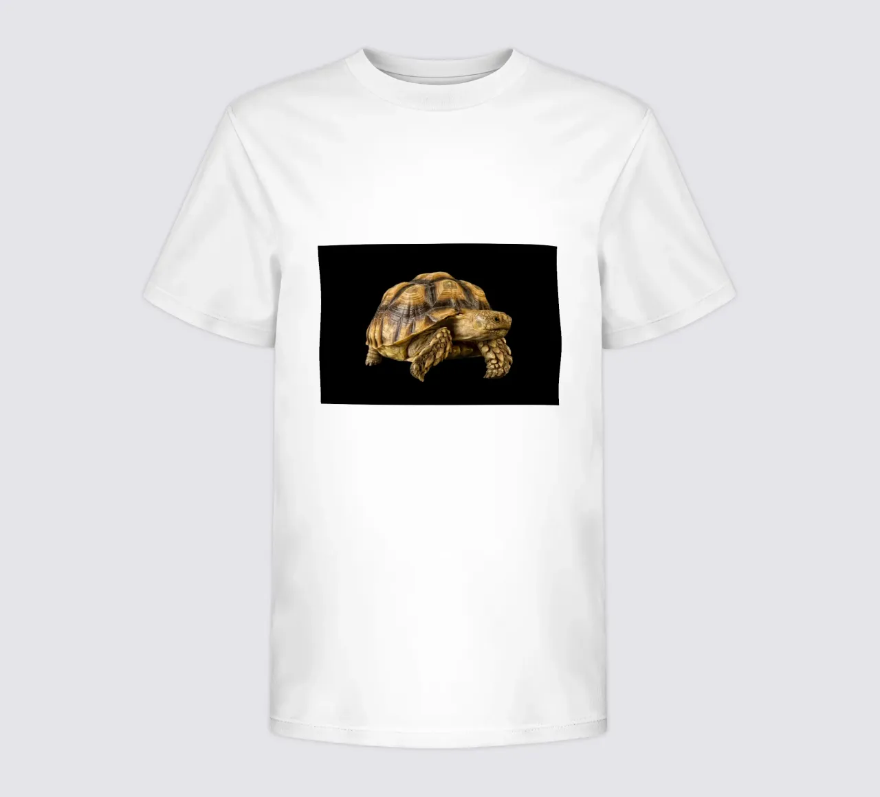 Land Turtle kids t-shirt by Curious Collections by Marielle Leenders