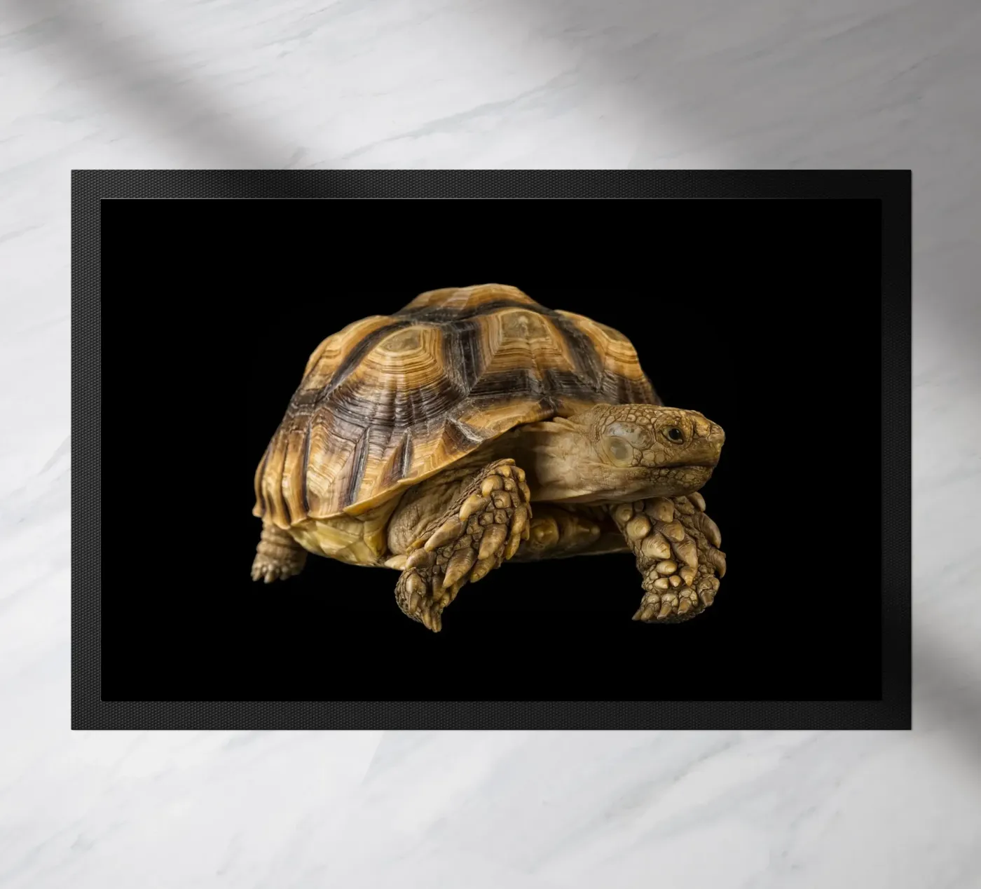 Land Turtle doormat by Curious Collections by Marielle Leenders
