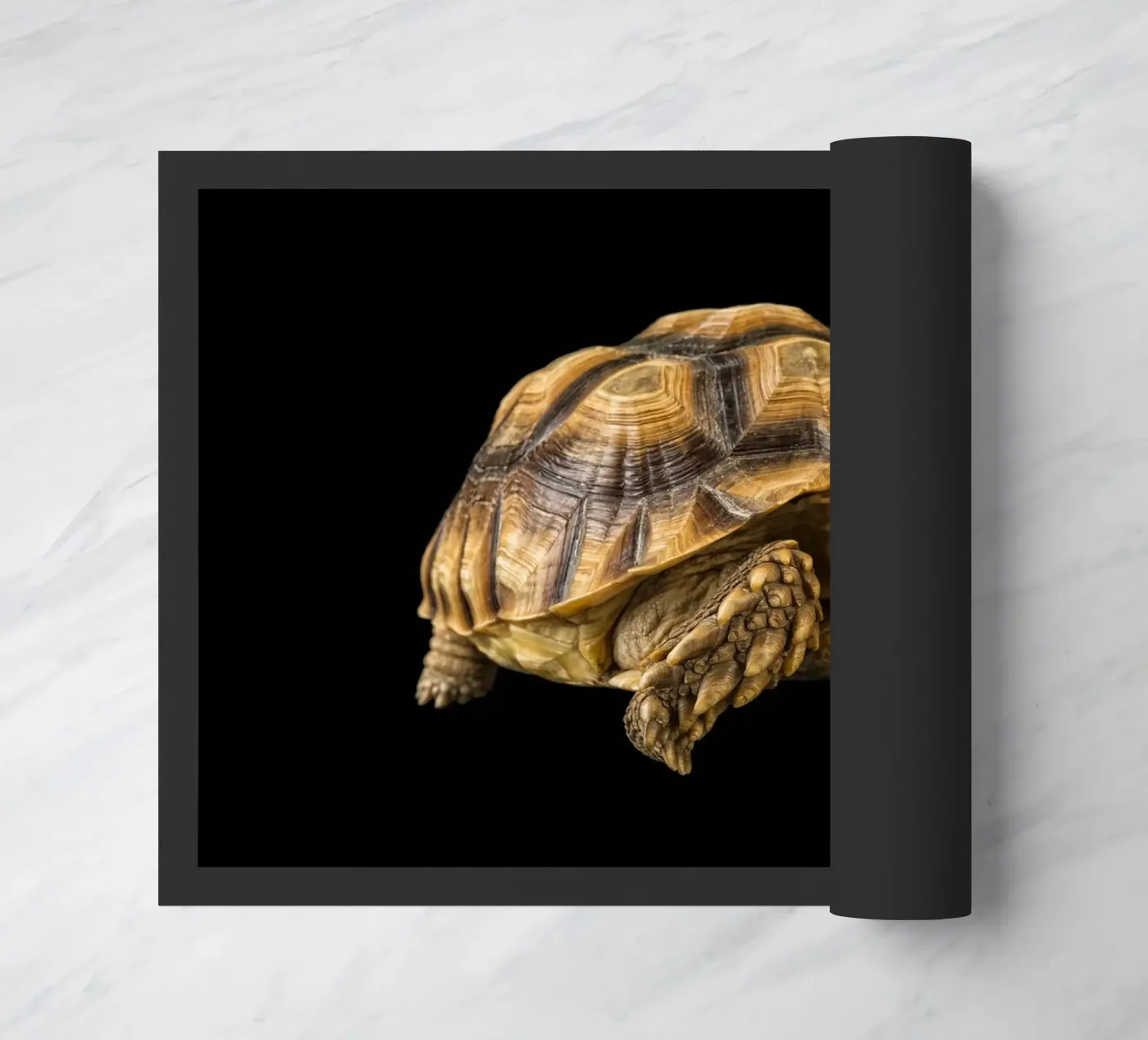 Land Turtle doormat by Curious Collections by Marielle Leenders