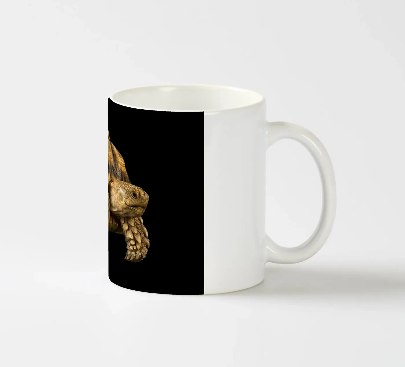Land Turtle ceramic mug by Curious Collections by Marielle Leenders
