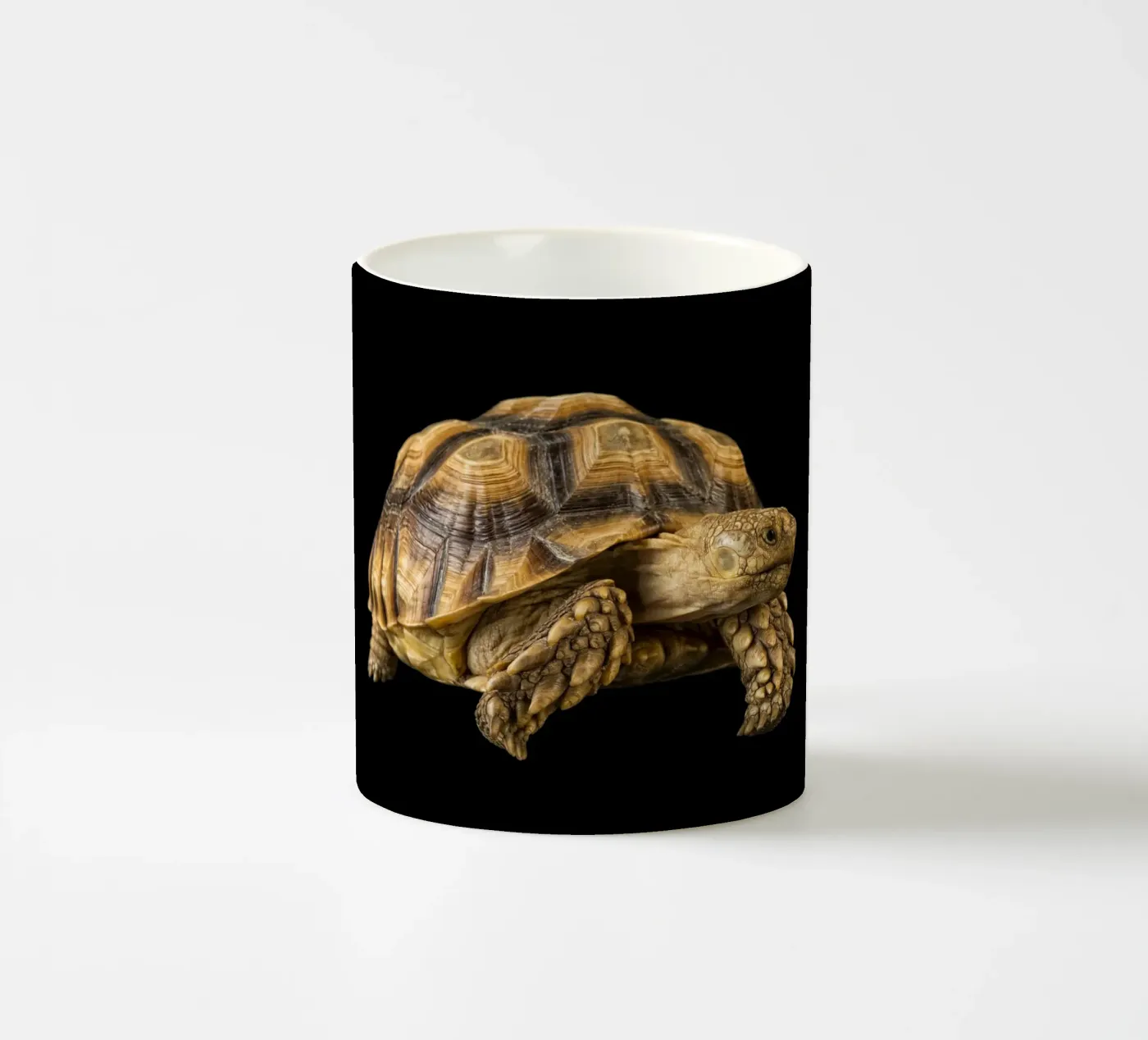 Tartaruga di terra tazza in ceramica da Curious Collections by Marielle Leenders