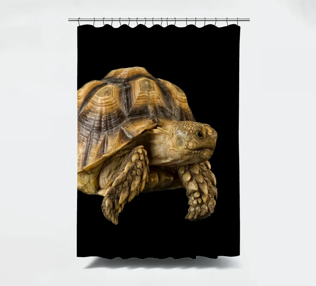 Land Turtle shower curtain by Curious Collections by Marielle Leenders