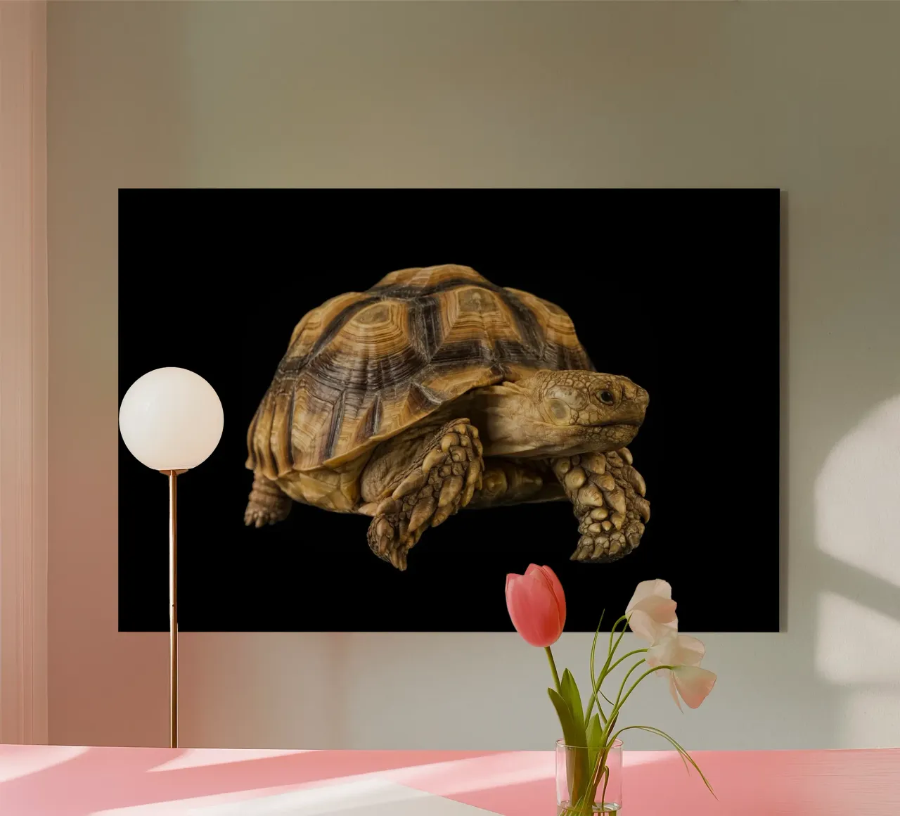 Land Turtle acrylic glass by Curious Collections by Marielle Leenders