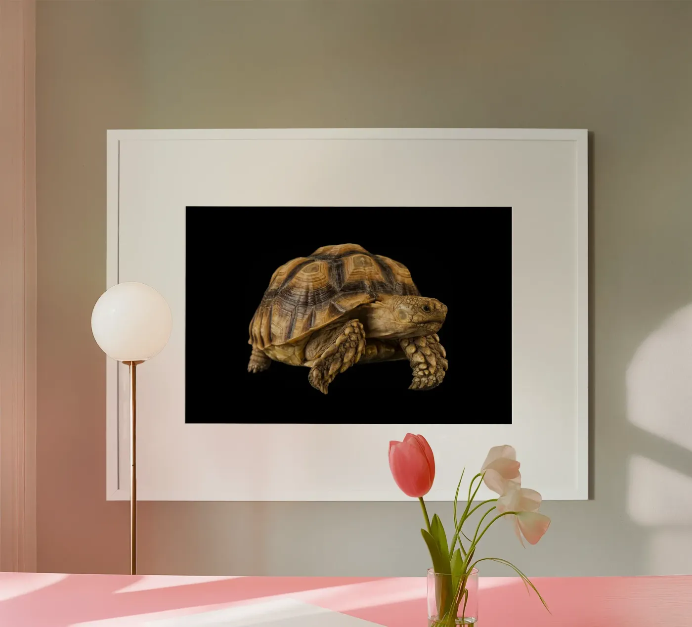 Land Turtle poster by Curious Collections by Marielle Leenders