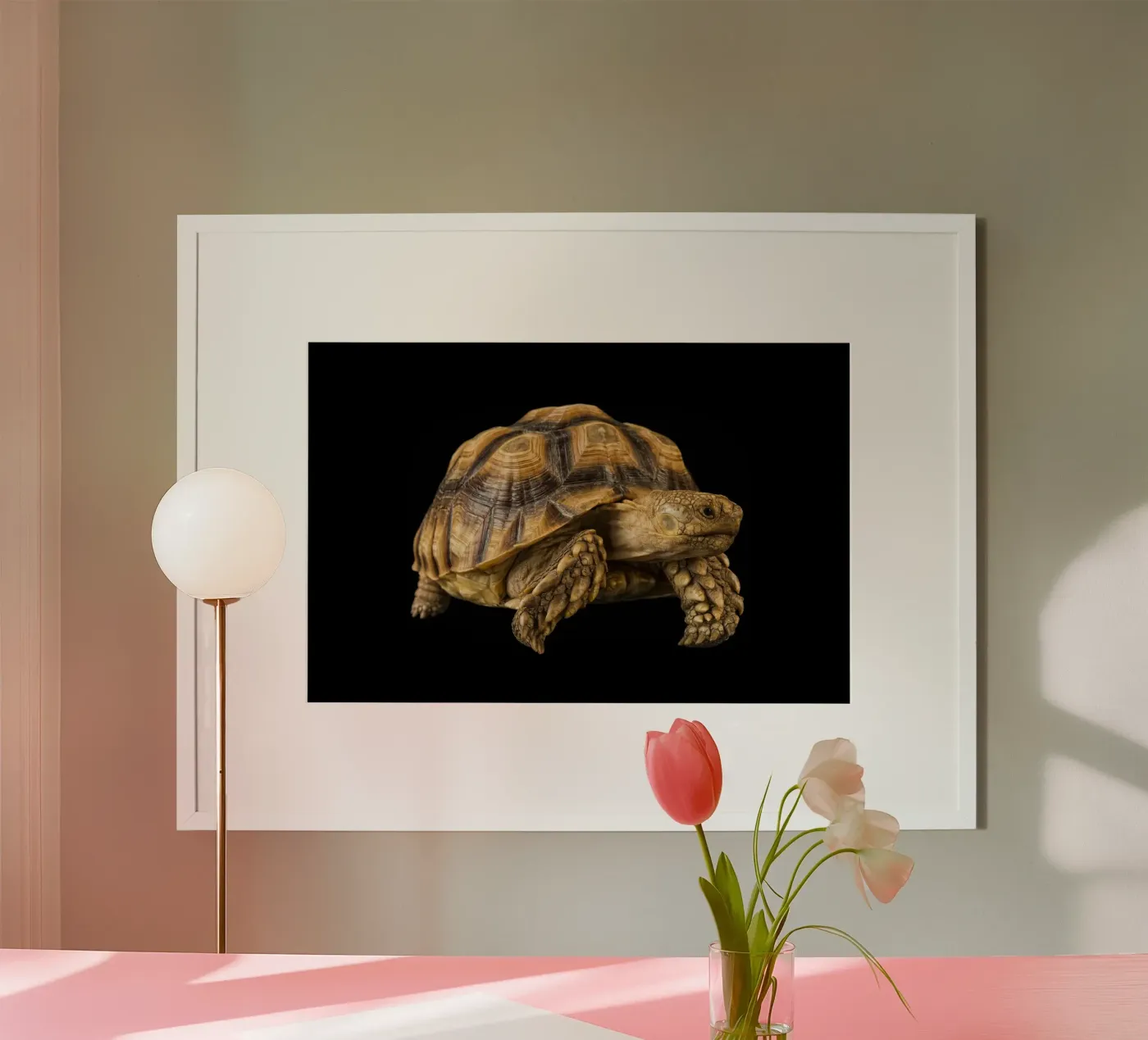 Land Turtle poster by Curious Collections by Marielle Leenders