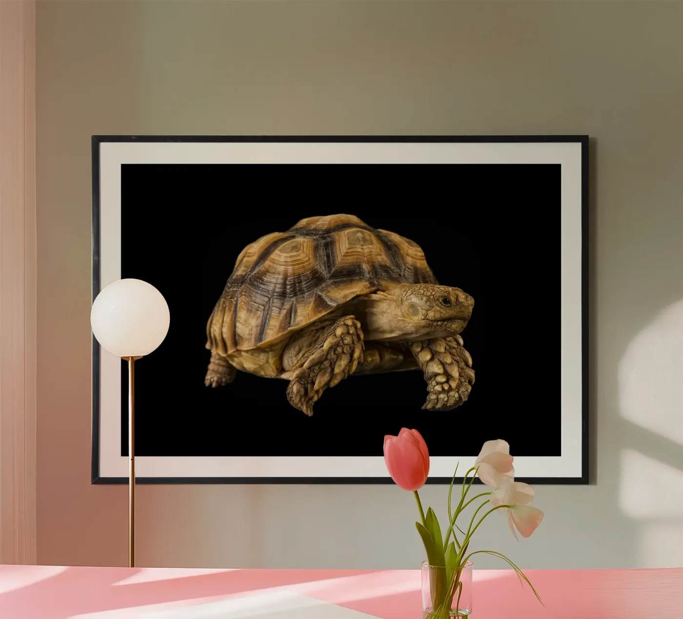 Land Turtle poster by Curious Collections by Marielle Leenders