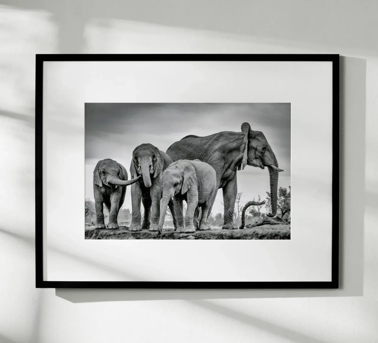 A Giant Unity - Jaco Marx poster by Pictufy