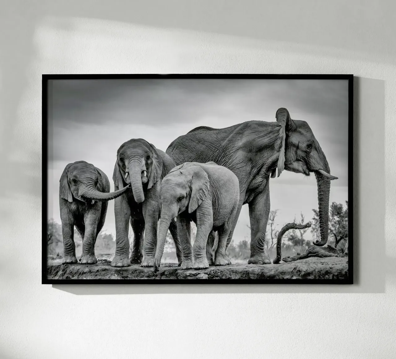 A Giant Unity - Jaco Marx poster by Pictufy