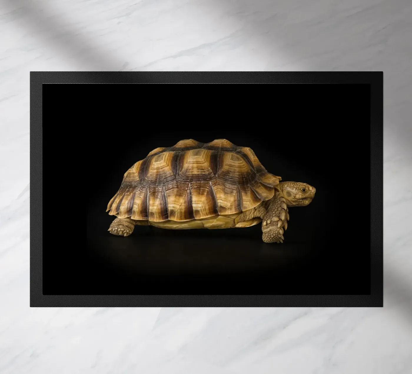 Landschildkröte Fußmatte von Curious Collections by Marielle Leenders