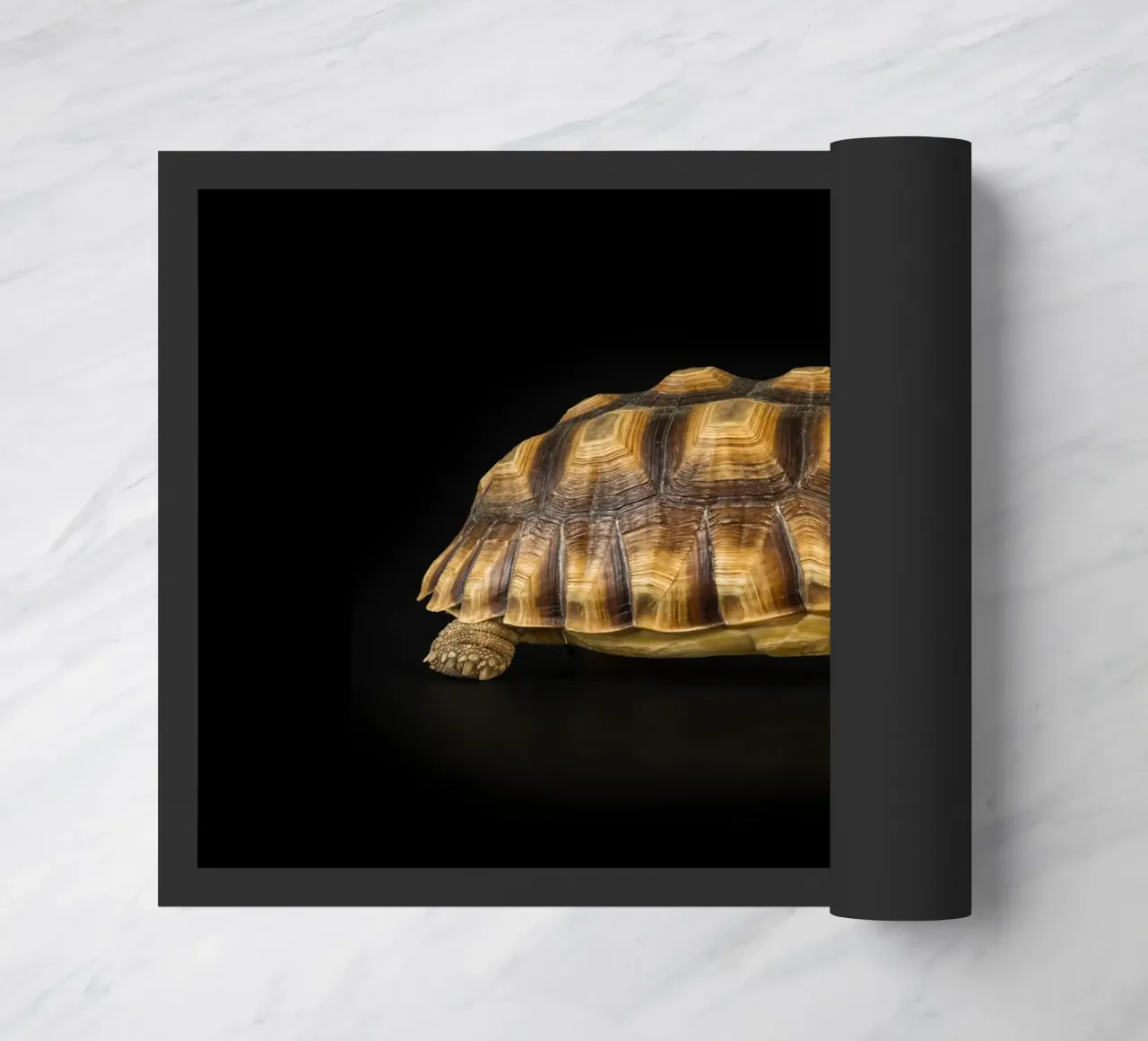 Land Turtle doormat by Curious Collections by Marielle Leenders