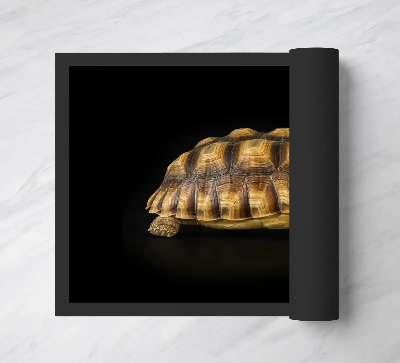Landschildkröte Fußmatte von Curious Collections by Marielle Leenders
