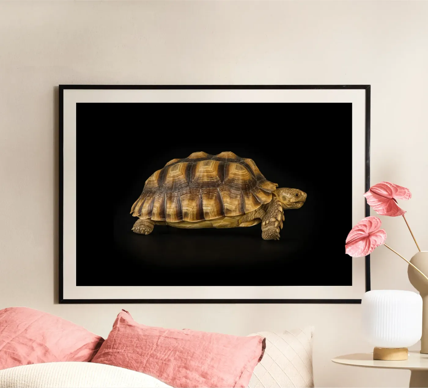 Land Turtle poster by Curious Collections by Marielle Leenders