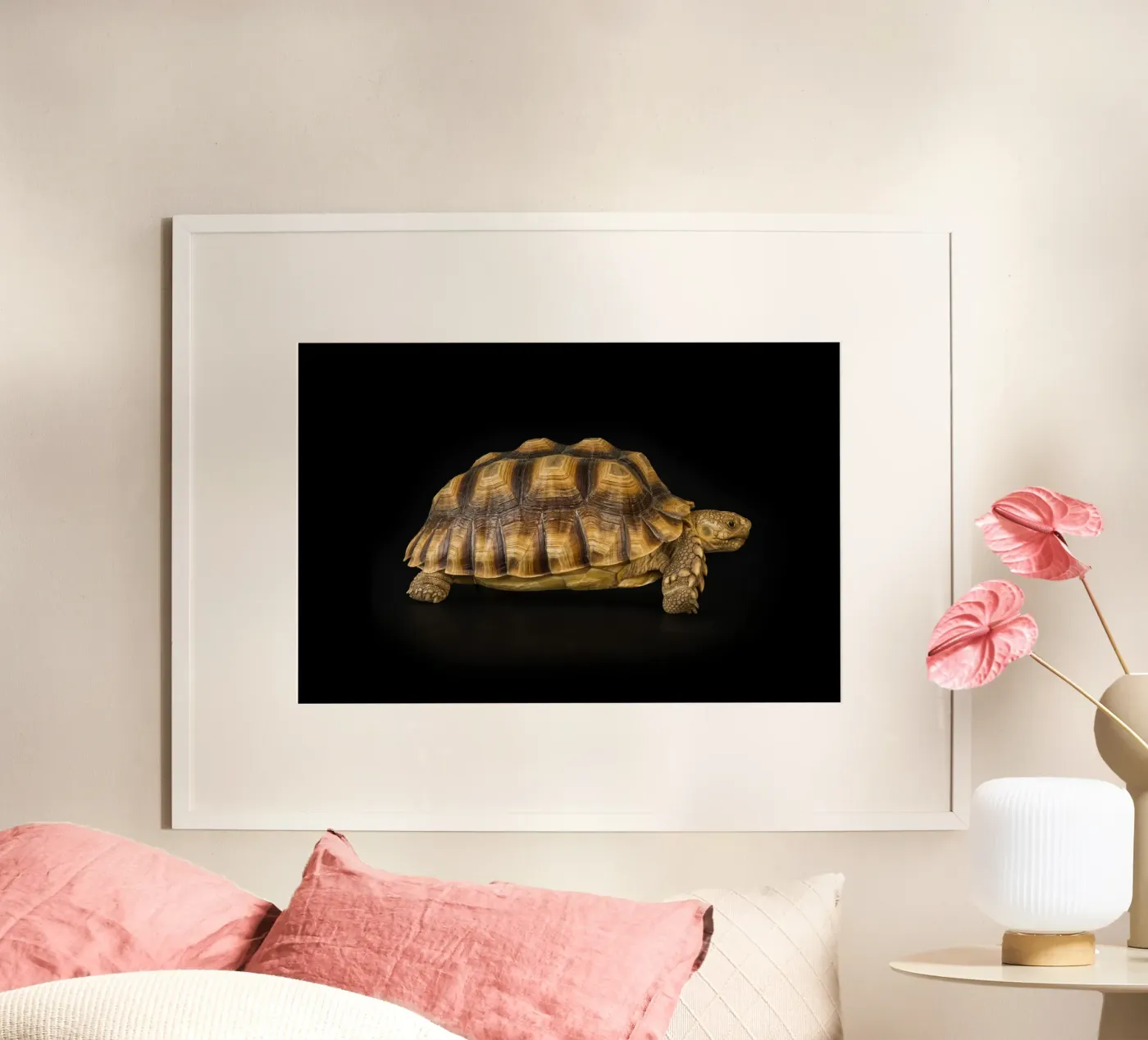 Land Turtle poster by Curious Collections by Marielle Leenders