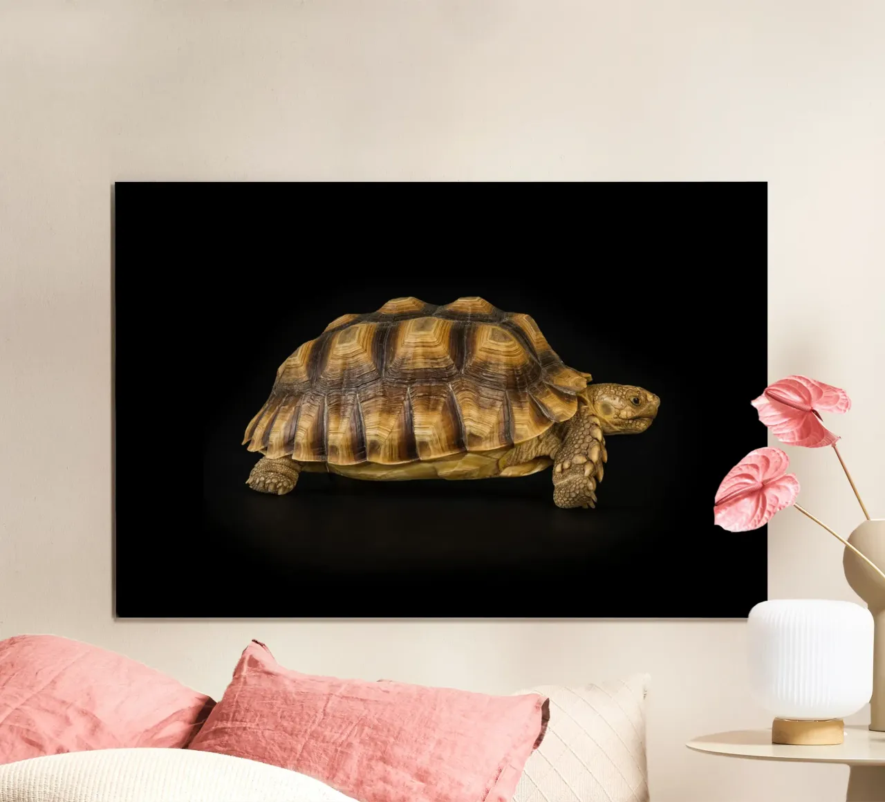Land Turtle poster by Curious Collections by Marielle Leenders