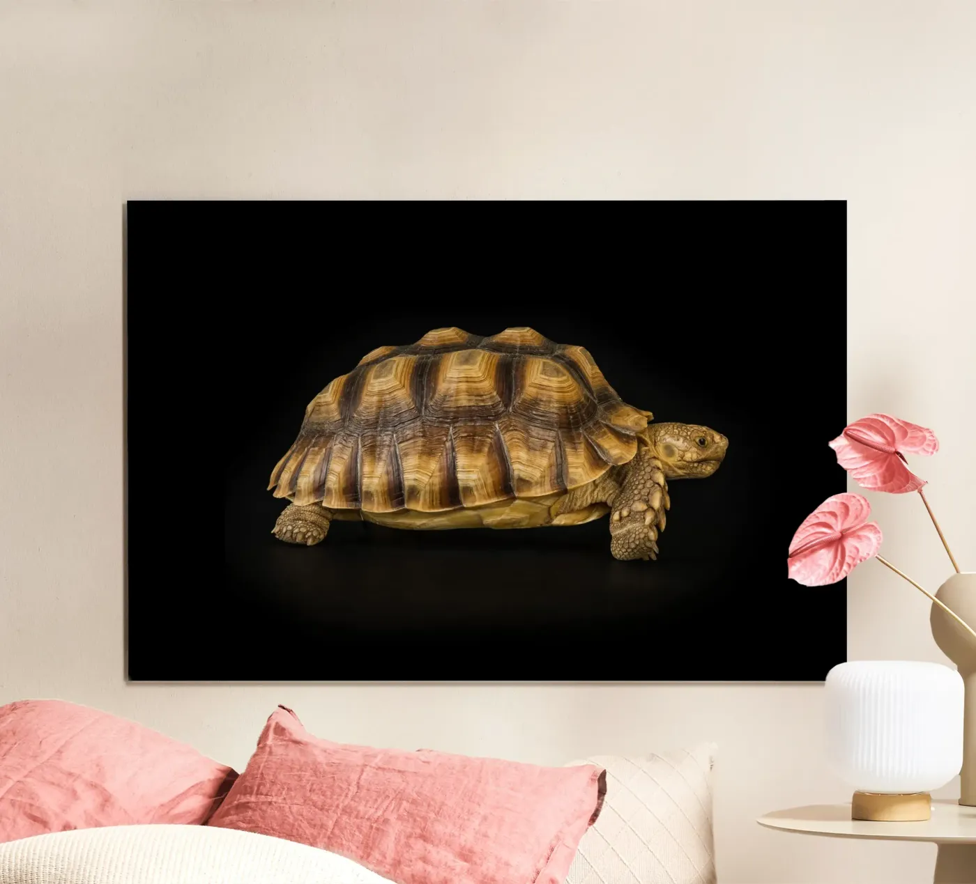Land Turtle poster by Curious Collections by Marielle Leenders
