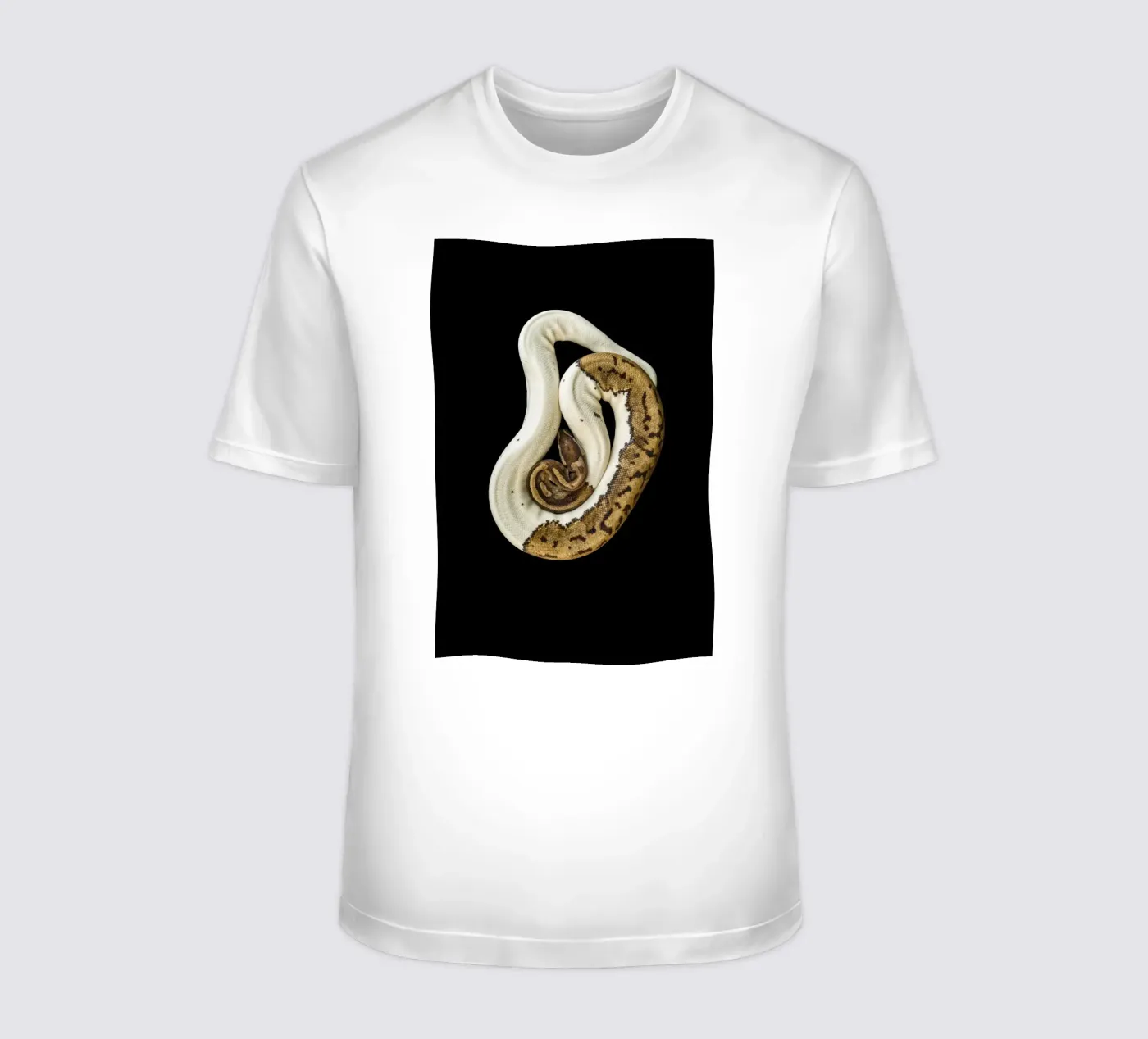 Pitone marrone e bianco t-shirt da Curious Collections by Marielle Leenders
