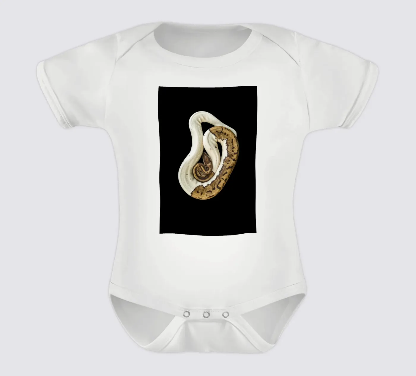 Brown & White Python body bébé de Curious Collections by Marielle Leenders