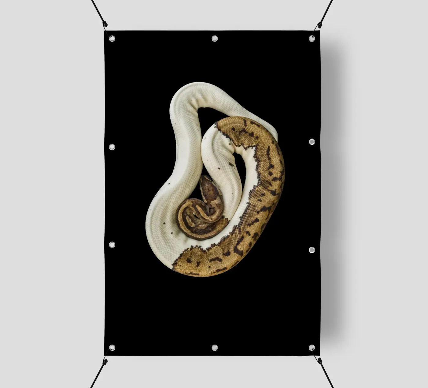 Pitone marrone e bianco telo in pvc da Curious Collections by Marielle Leenders