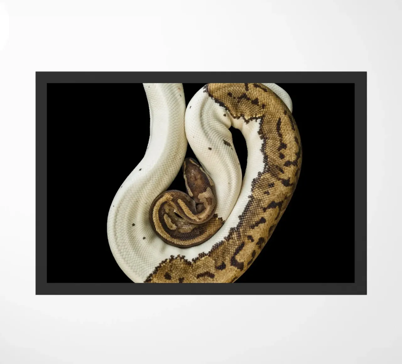 Brown & White Python doormat by Curious Collections by Marielle Leenders
