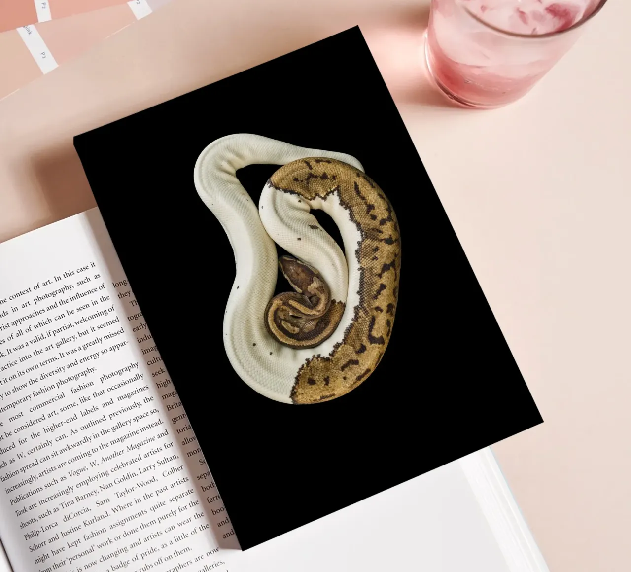 Python marron et blanc carnet de notes de Curious Collections by Marielle Leenders