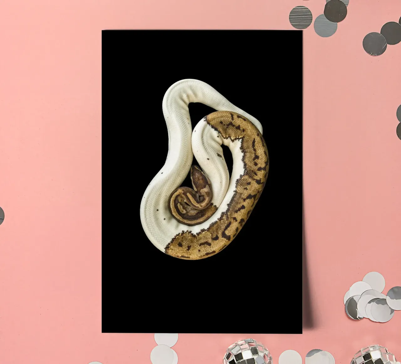 Braun & Weiß Python Stickerbogen von Curious Collections by Marielle Leenders