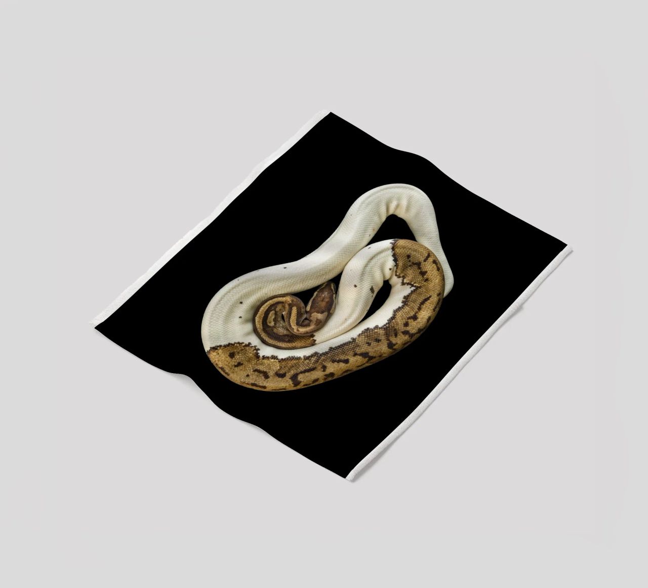 Braun & Weiß Python Fleecedecke von Curious Collections by Marielle Leenders