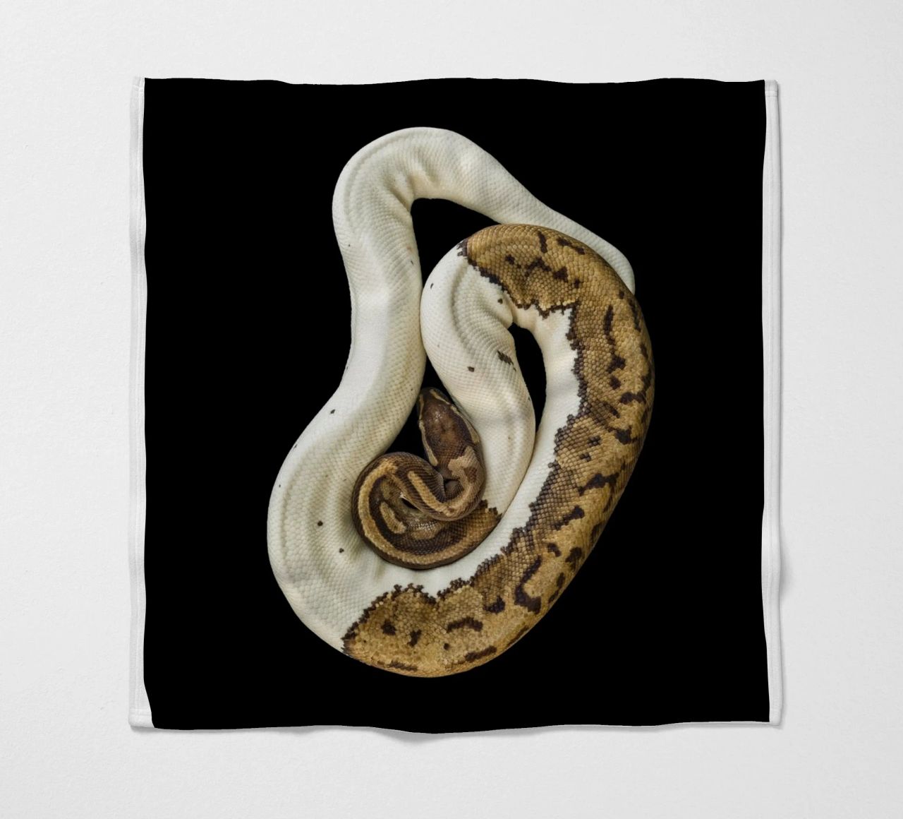 Braun & Weiß Python Fleecedecke von Curious Collections by Marielle Leenders