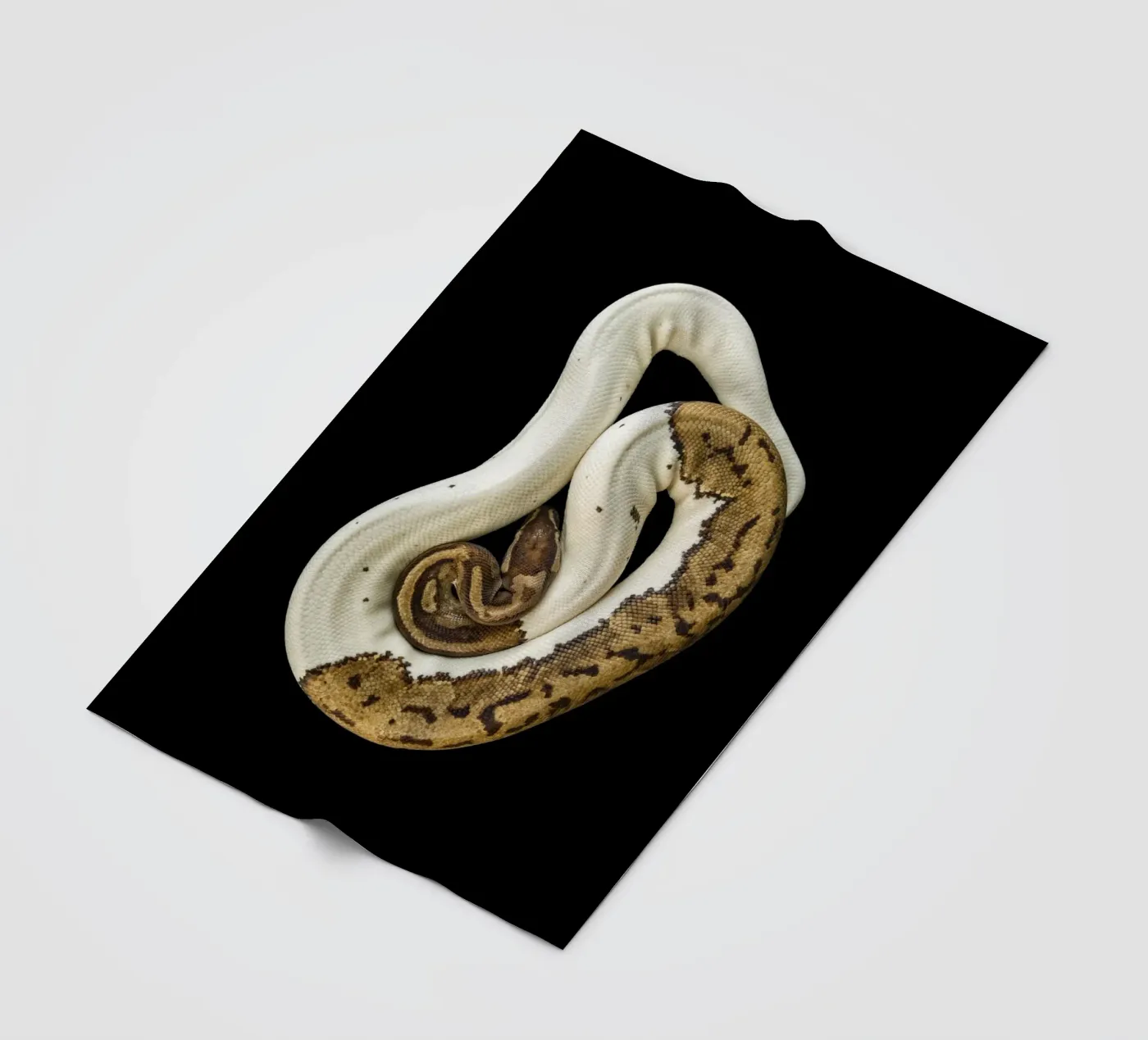 Bruine en witte python fleecedeken van Curious Collections by Marielle Leenders