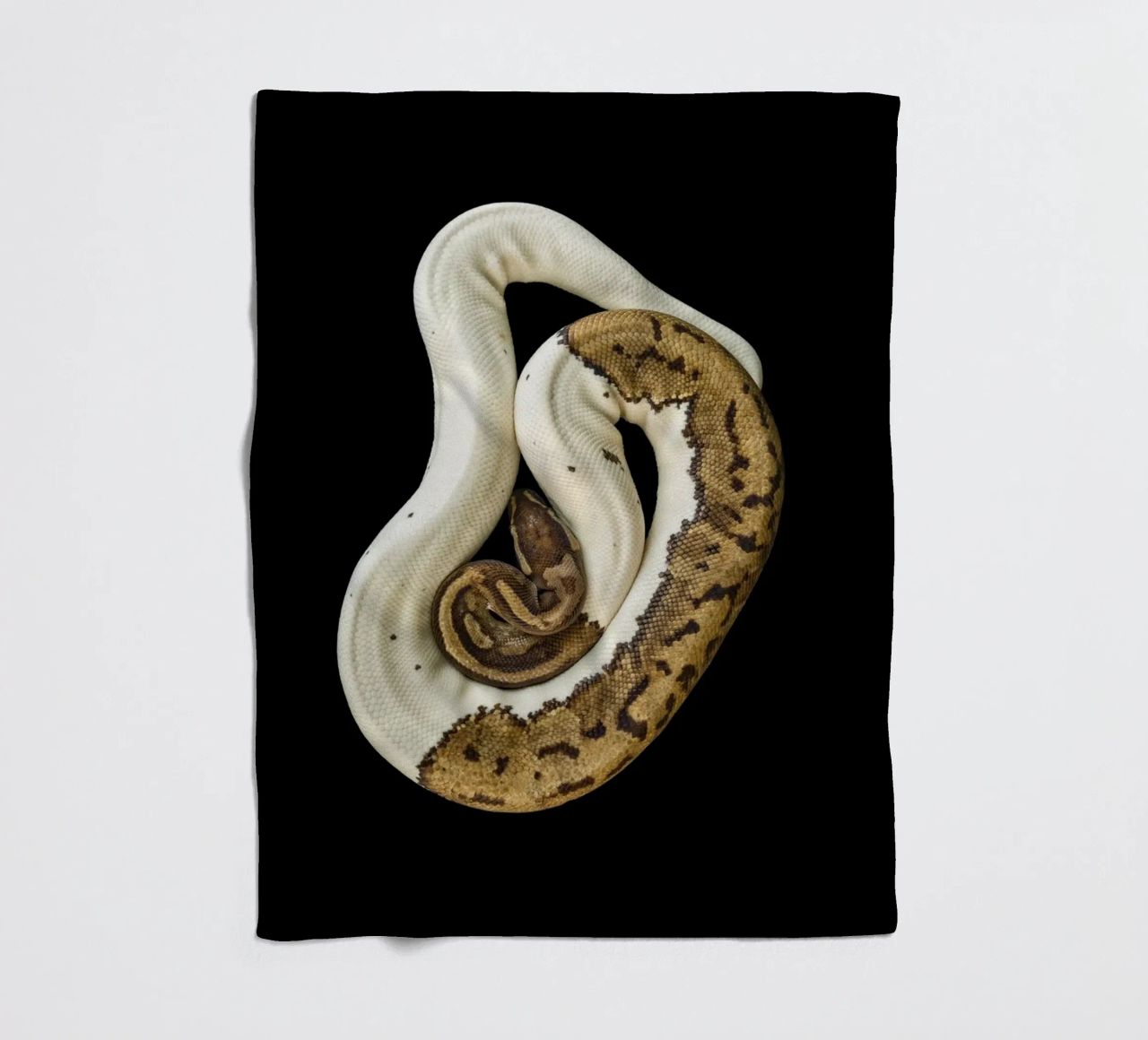 Braun & Weiß Python Fleecedecke von Curious Collections by Marielle Leenders
