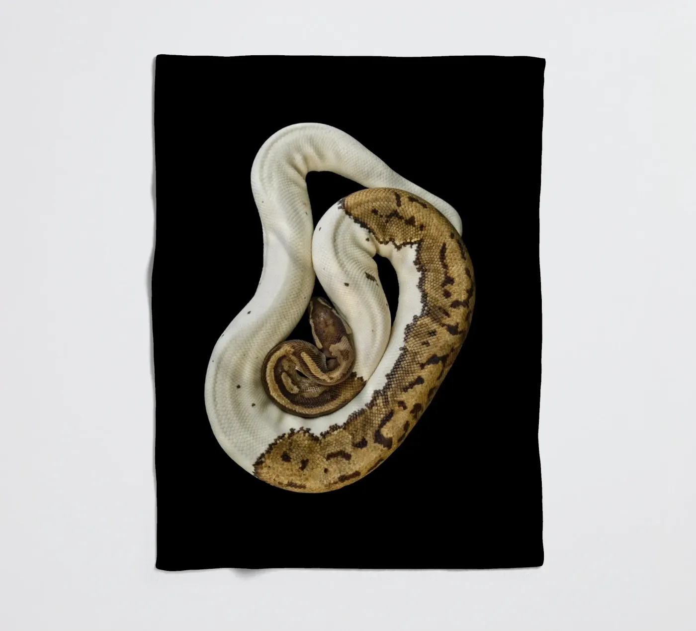 Pitone marrone e bianco coperta in pile da Curious Collections by Marielle Leenders