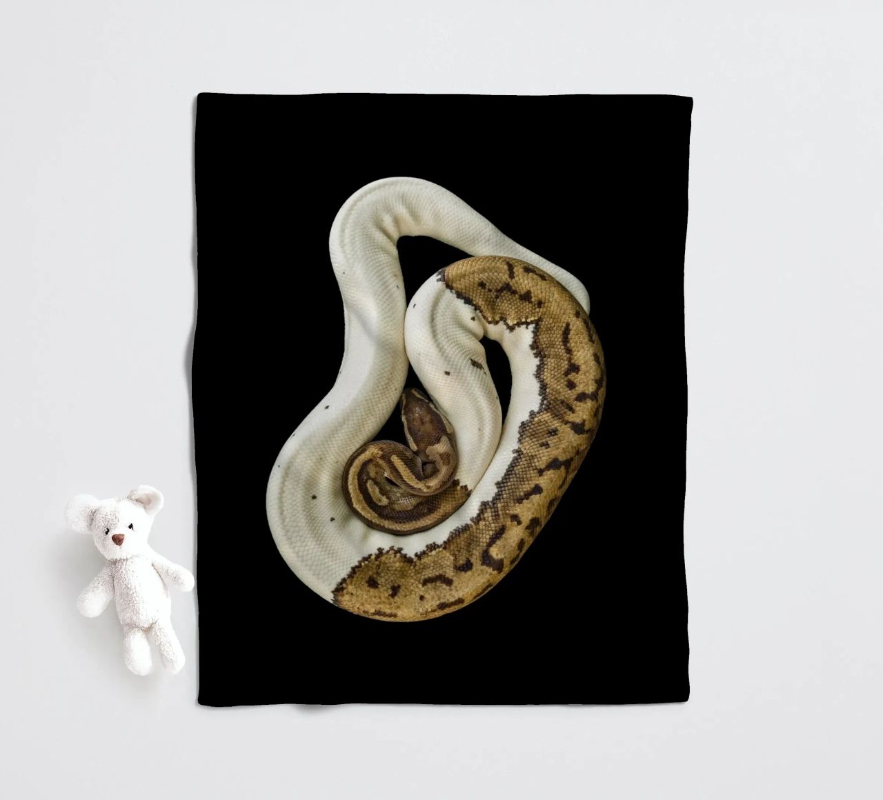 Braun & Weiß Python Fleecedecke von Curious Collections by Marielle Leenders