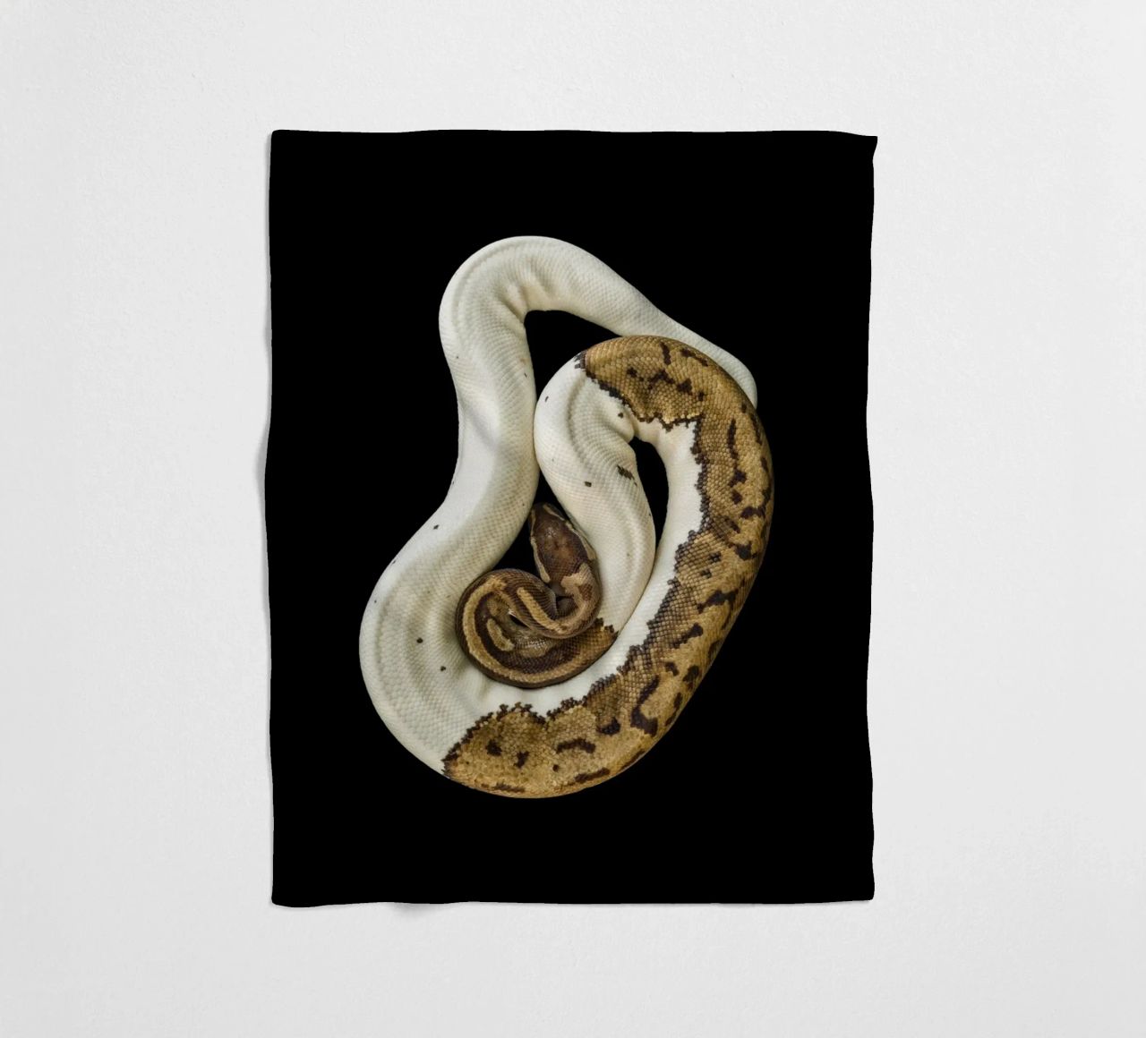 Braun & Weiß Python Fleecedecke von Curious Collections by Marielle Leenders