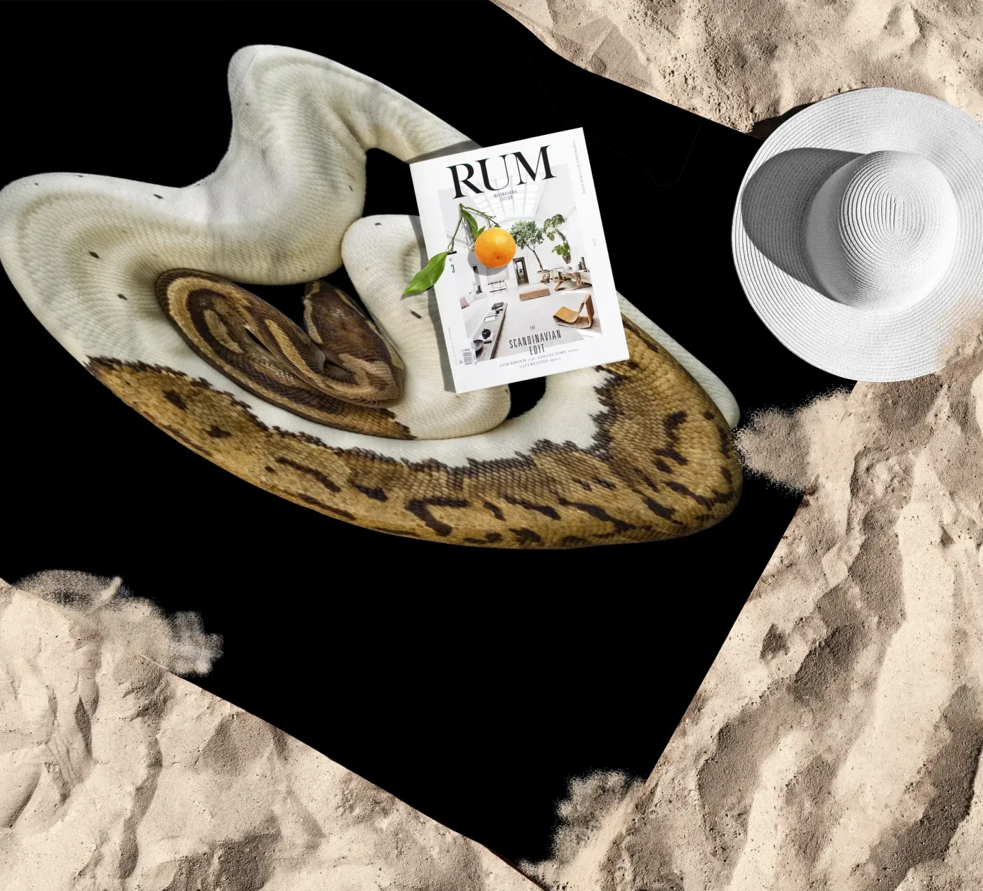 Braun & Weiß Python Strandtuch von Curious Collections by Marielle Leenders