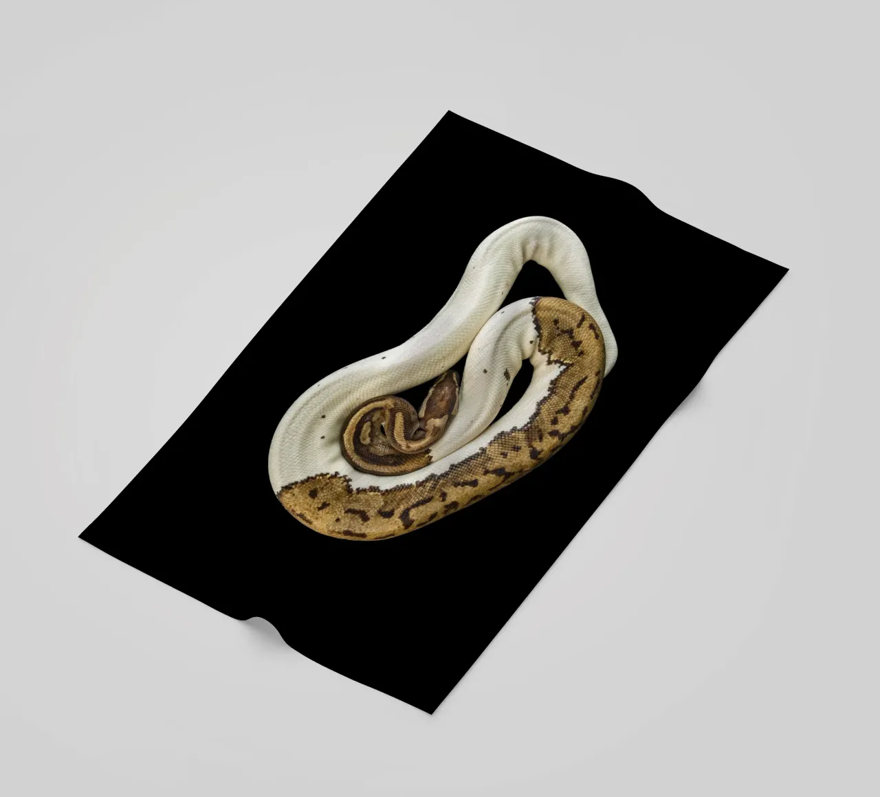 Bruine en witte python strandhanddoek van Curious Collections by Marielle Leenders