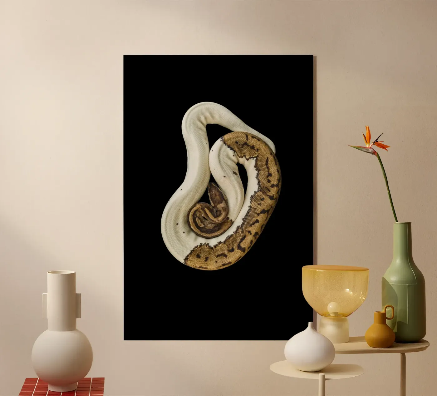Brown & White Python Acryl-Glas von Curious Collections by Marielle Leenders