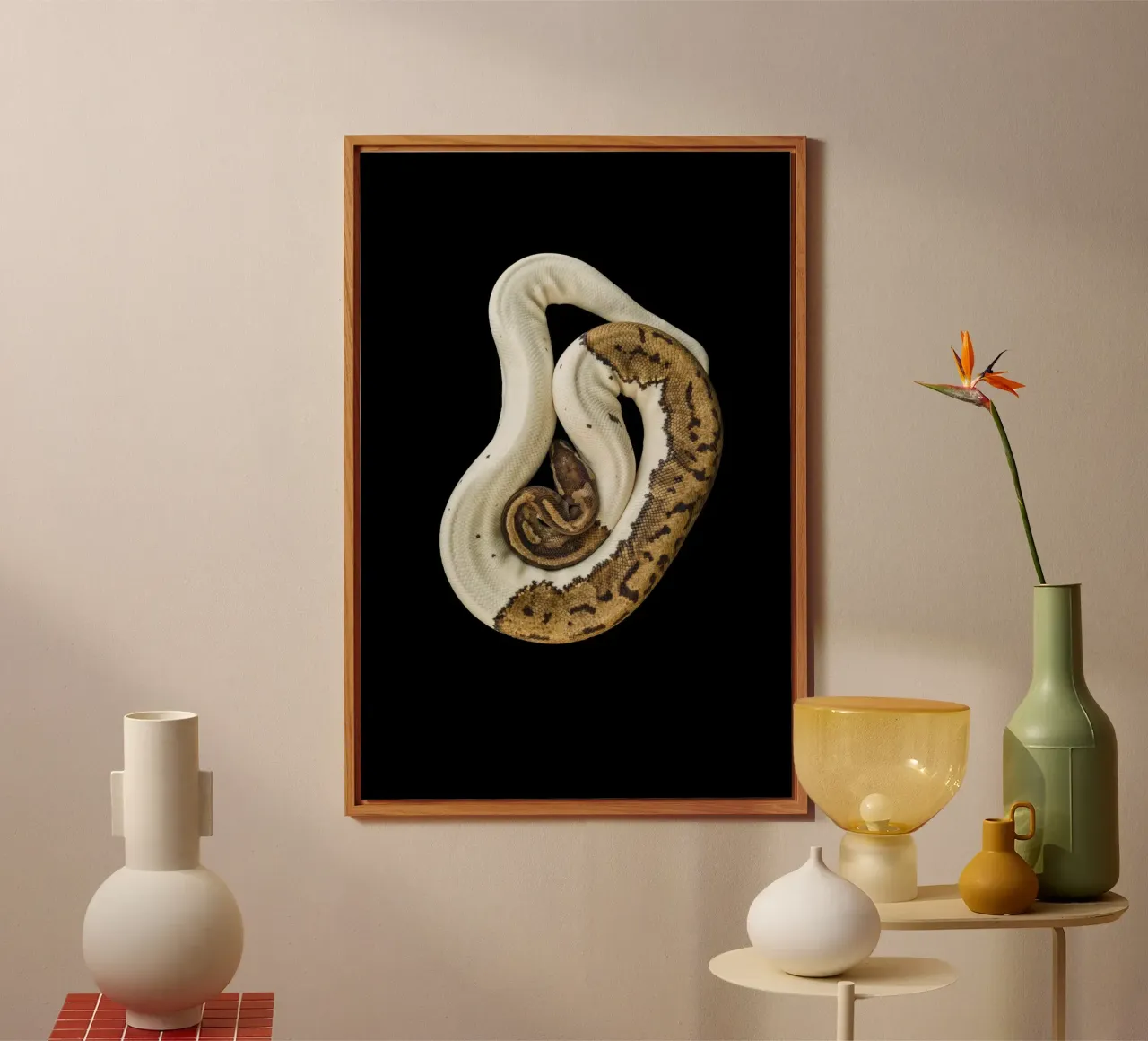 Braun & Weiß Python Alu-Dibond von Curious Collections by Marielle Leenders