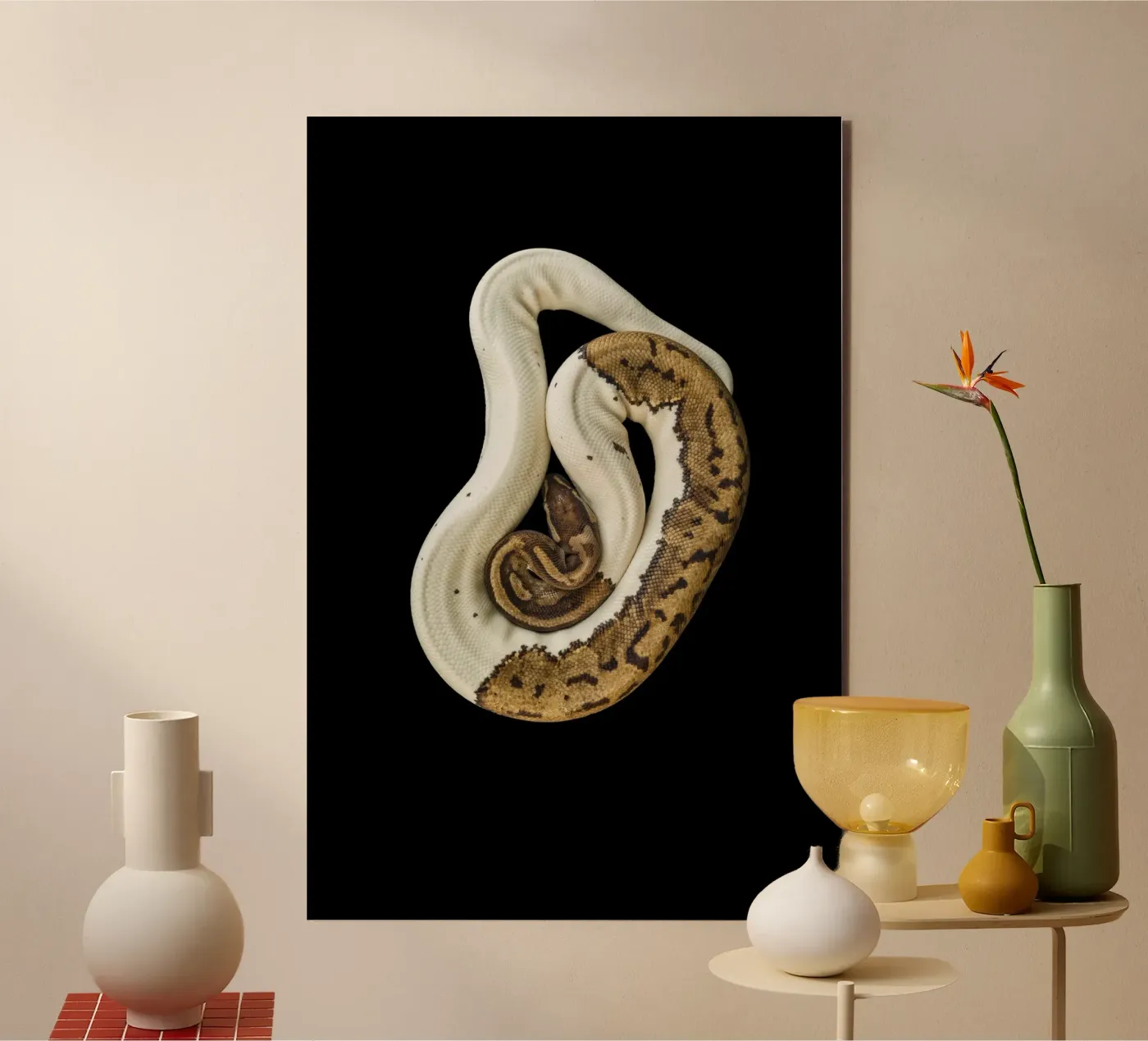 Bruine en witte python forex-plaat van Curious Collections by Marielle Leenders