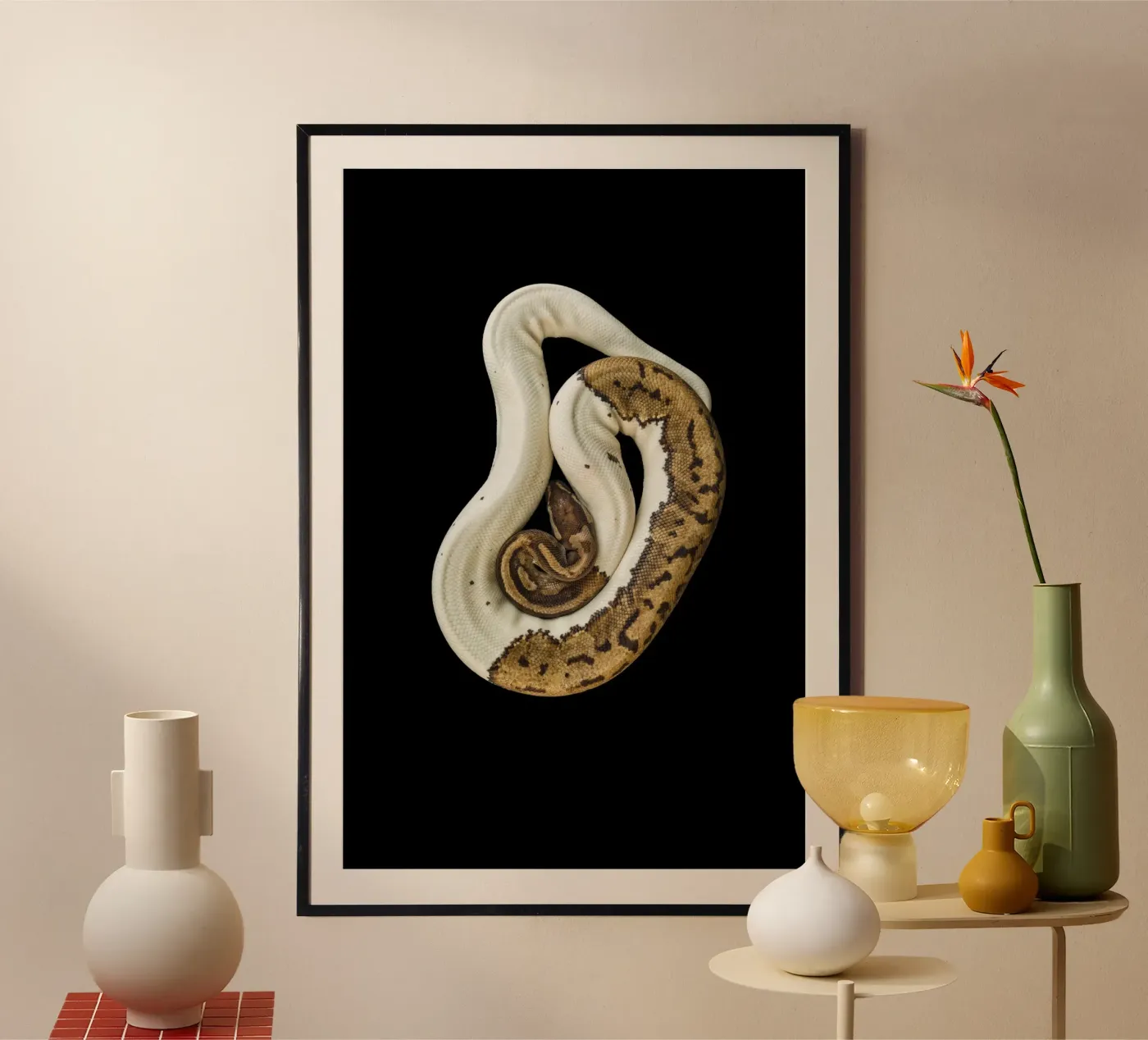 Pitone marrone e bianco poster da Curious Collections by Marielle Leenders