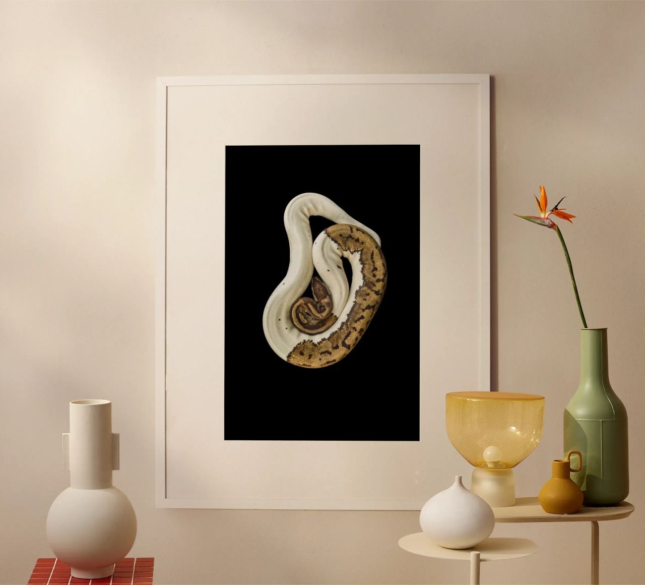 Bruine en witte python hahnemühle van Curious Collections by Marielle Leenders