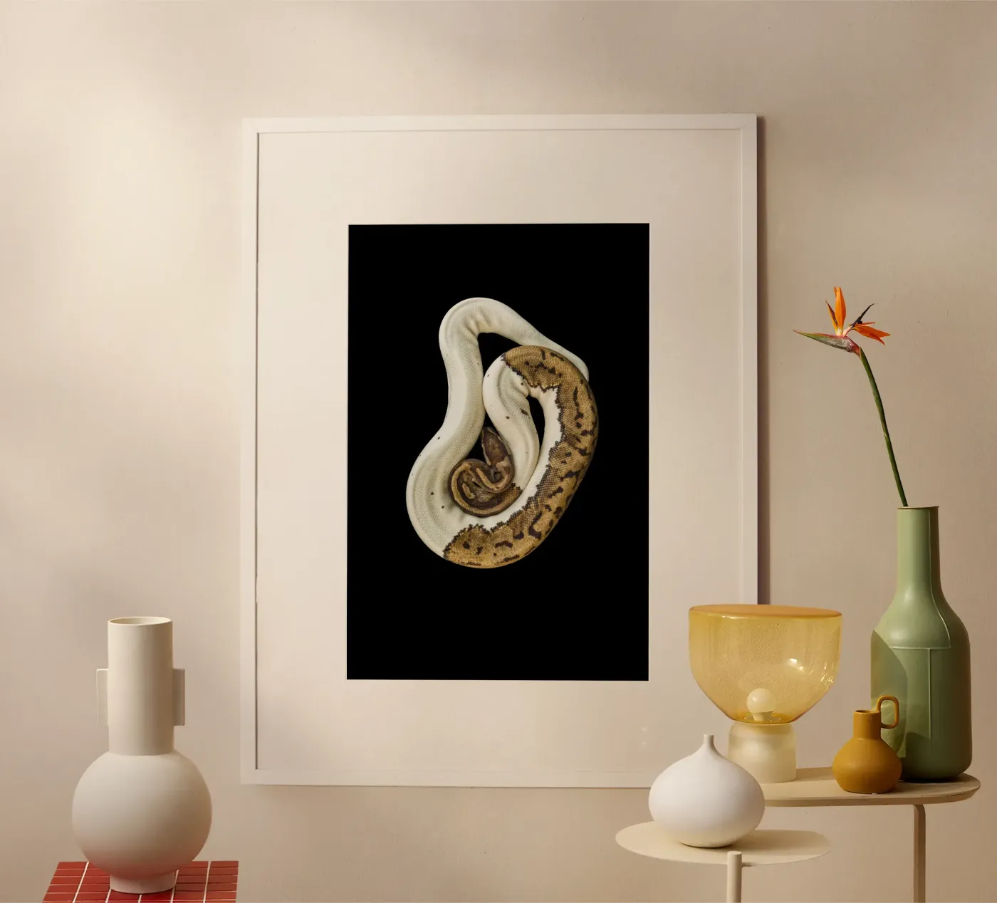 Pitone marrone e bianco poster da Curious Collections by Marielle Leenders
