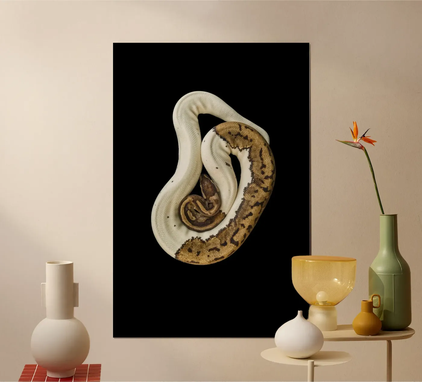 Pitone marrone e bianco poster da Curious Collections by Marielle Leenders
