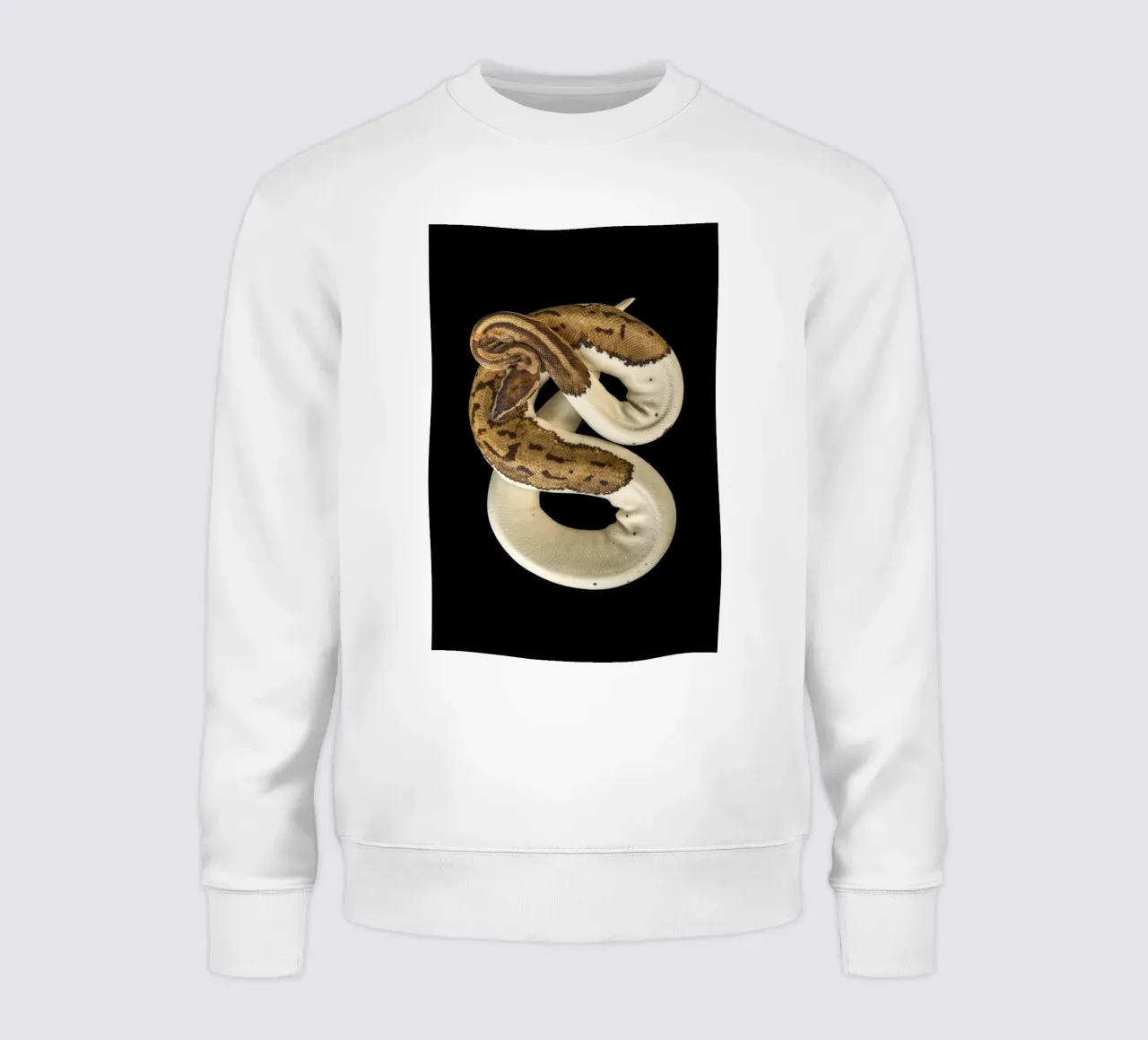 Braun & Weiß Python Sweatshirt von Curious Collections by Marielle Leenders