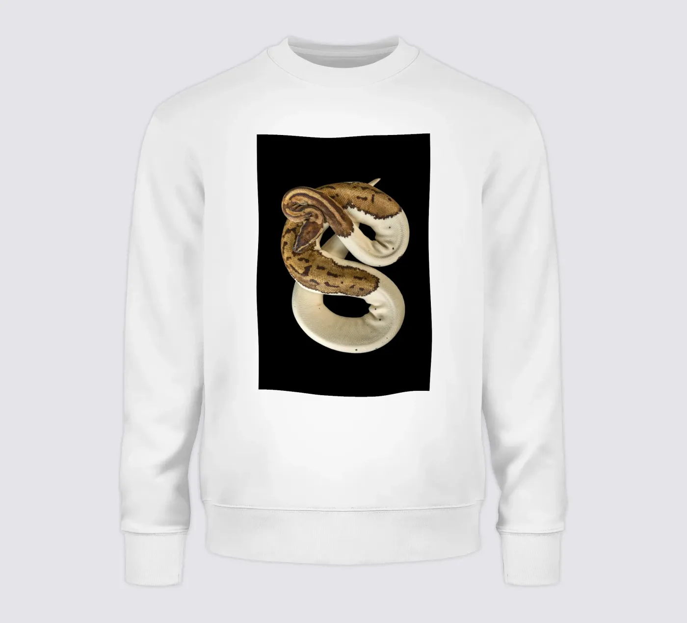 Brown & White Python sweat de Curious Collections by Marielle Leenders