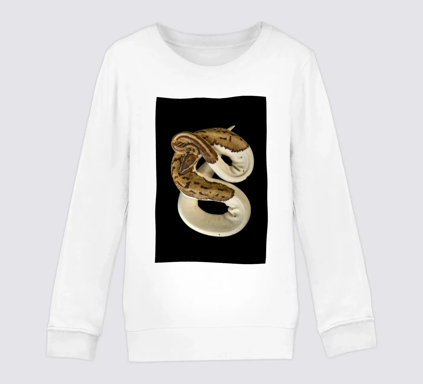 Bruine en witte python kinder sweatshirt van Curious Collections by Marielle Leenders