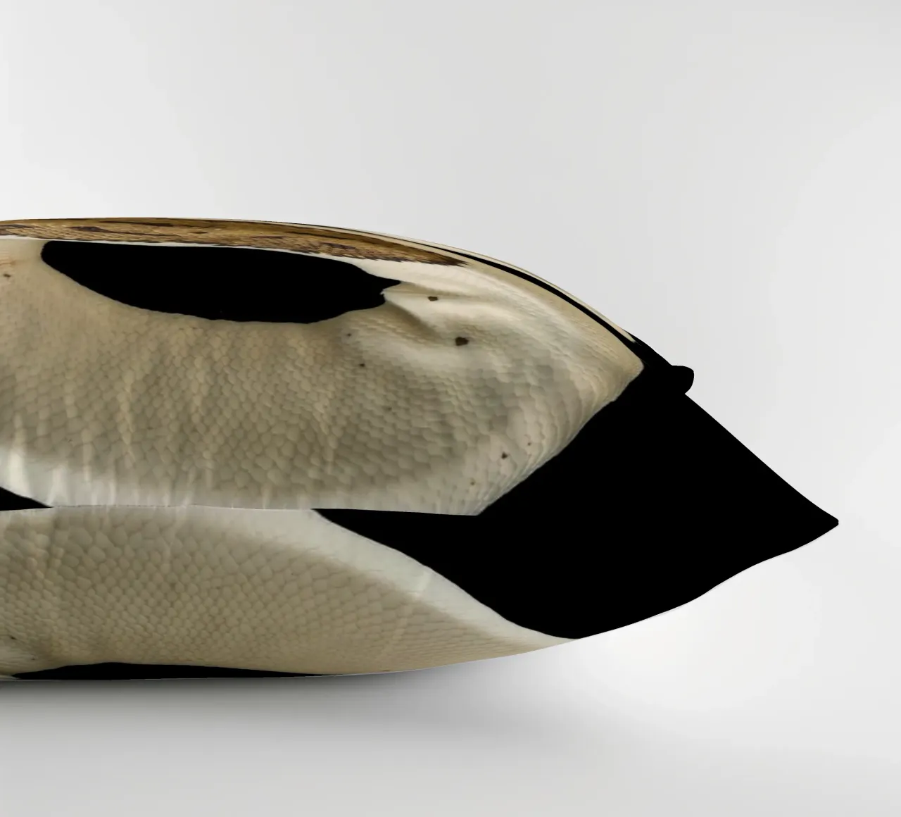 Bruine en witte python kussen van Curious Collections by Marielle Leenders