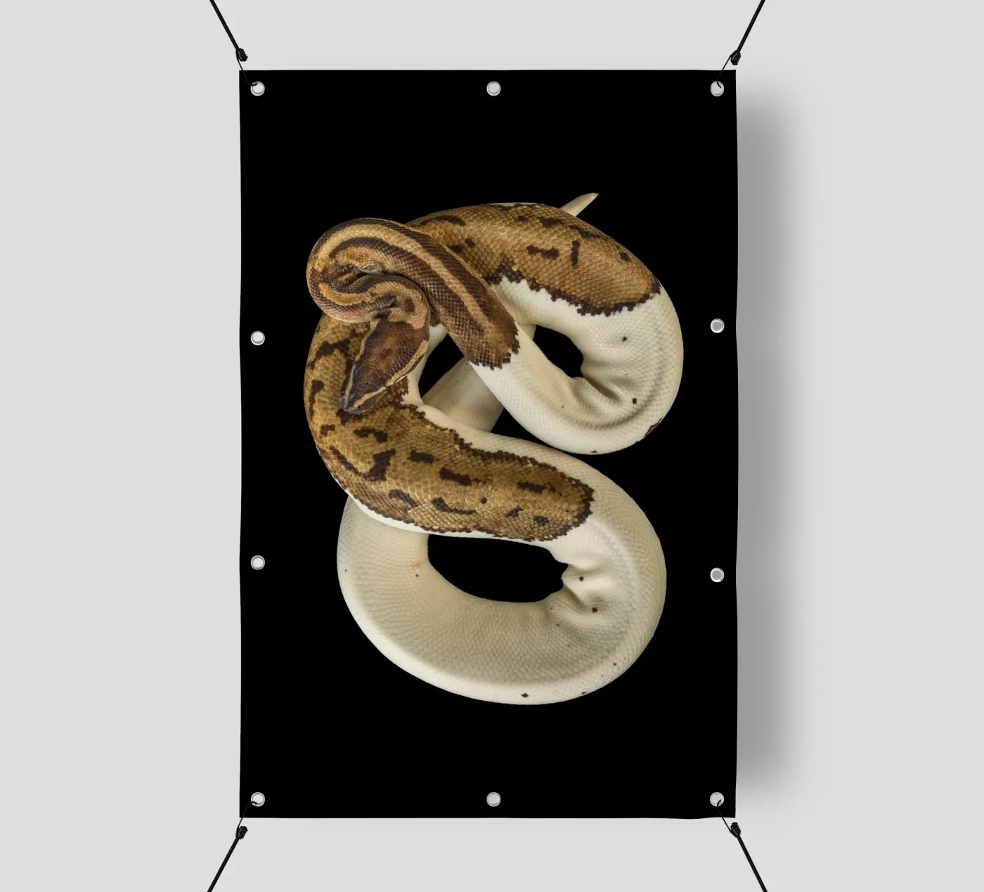 Brown & White Python pvc cover by Curious Collections by Marielle Leenders