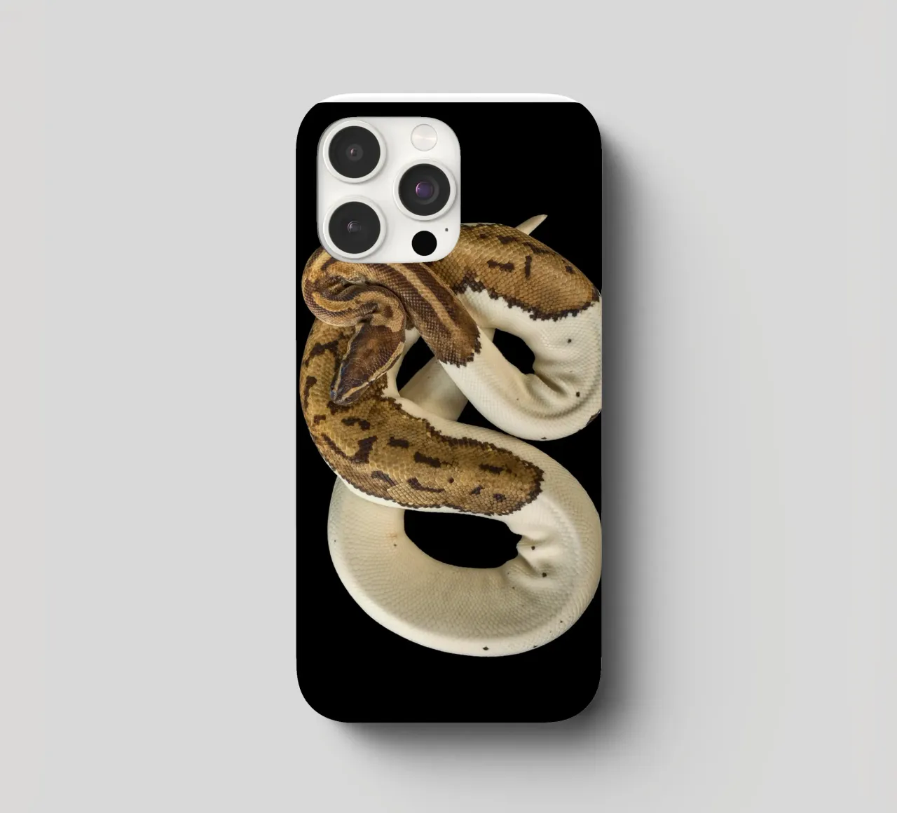 Braun & Weiß Python iPhone Hülle von Curious Collections by Marielle Leenders