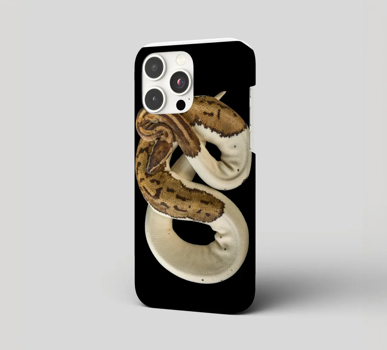 Braun & Weiß Python iPhone Hülle von Curious Collections by Marielle Leenders