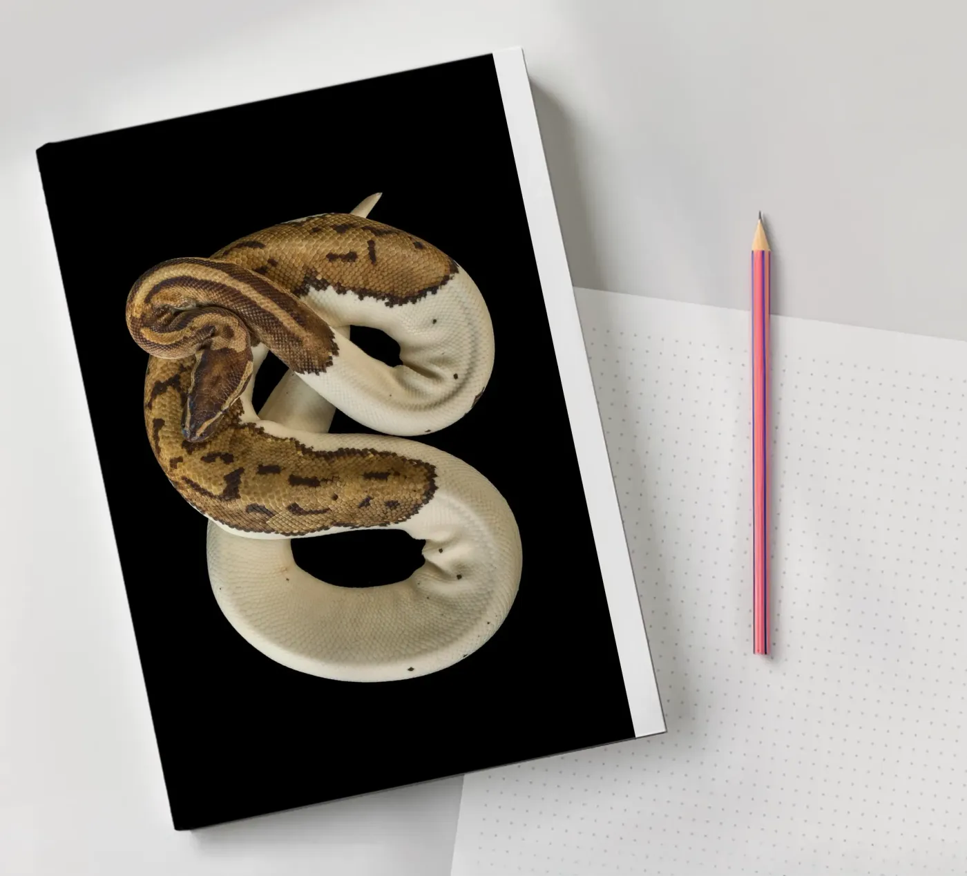 Pitone marrone e bianco quaderno da Curious Collections by Marielle Leenders